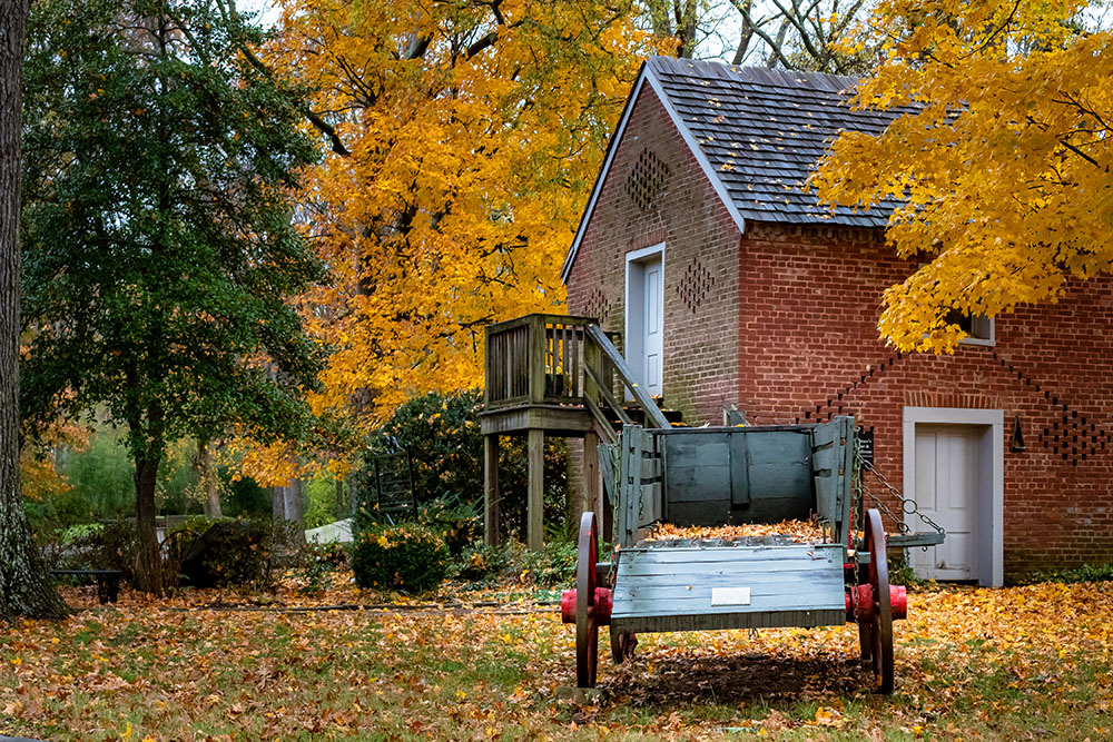 Colorful autumn leaves and trees and carriage at the Belle Meade Digital Nomads in Estonia