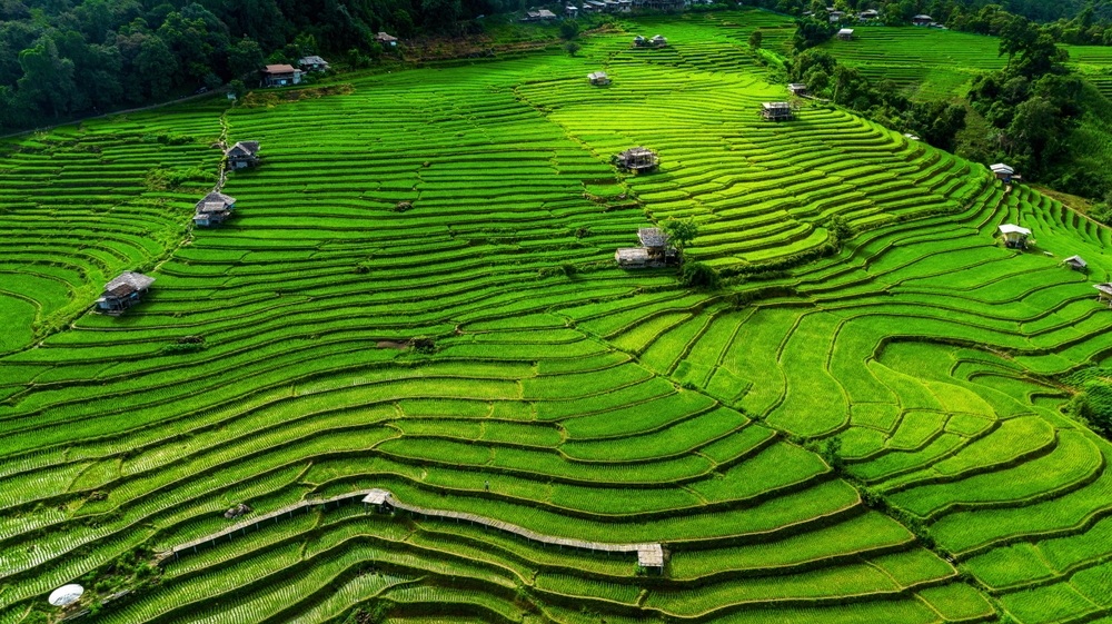 Thailand for Digital Nomads