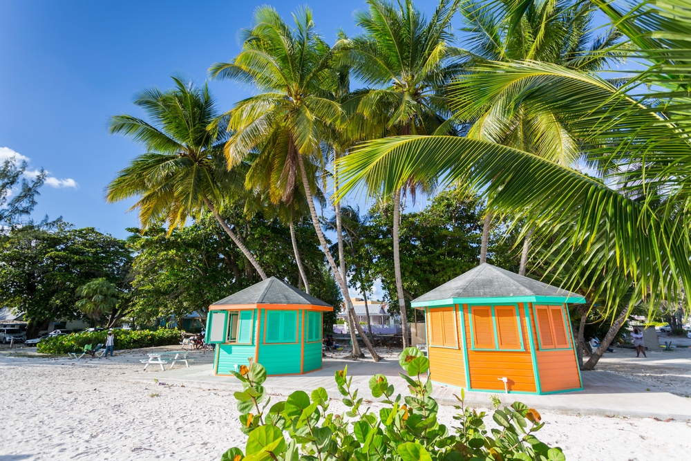 Barbados for Digital Nomads